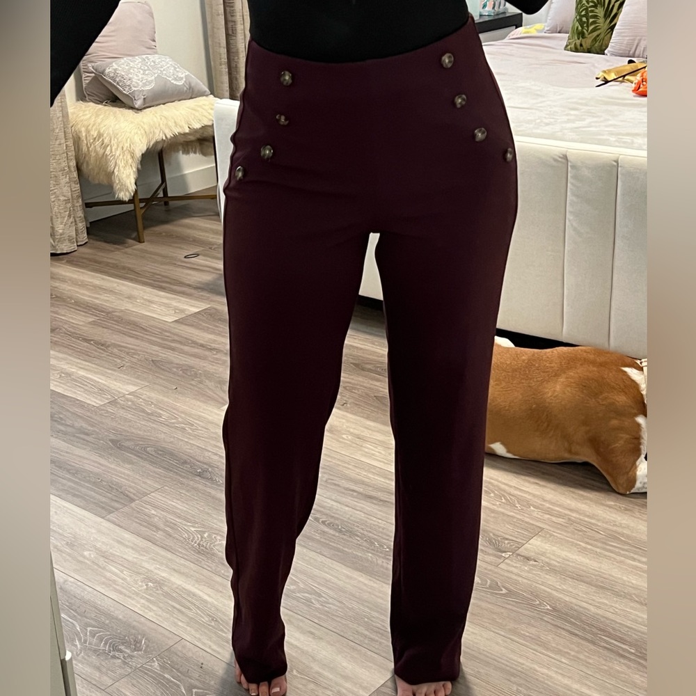 Express pull-on dress pants